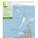 Gallery 1 - The Trustees of Reservations: Coskata-Coatue Wildlife Refuge