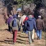 Winter Wellness Walks – with the Linda Loring Nature Foundation #2