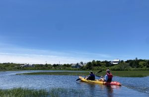 Folgers Marsh Kayak Tour