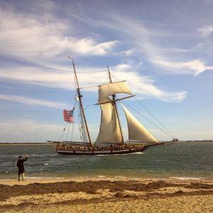 Day Sail with Tall Ship Lynx