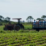 Gallery 2 - Farm and Field Hayride Tour