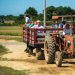 Gallery 2 - Pick Your Own Veggie Hayride Tour