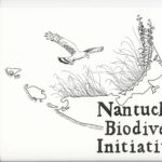 Gallery 1 - Nantucket Biodiversity Initiative (NBI) 10th Biennial Research Conference