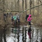 Vernal Pool Tour with Nantucket Land & Water Council and Nantucket Conservation Foundation