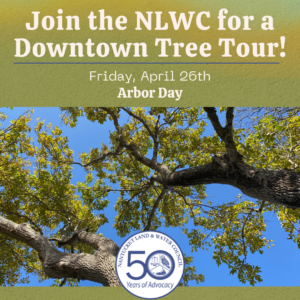Downtown Tree Tour with the Nantucket Land & Water Council