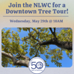 Downtown Tree Tour with the Nantucket Land & Water Council